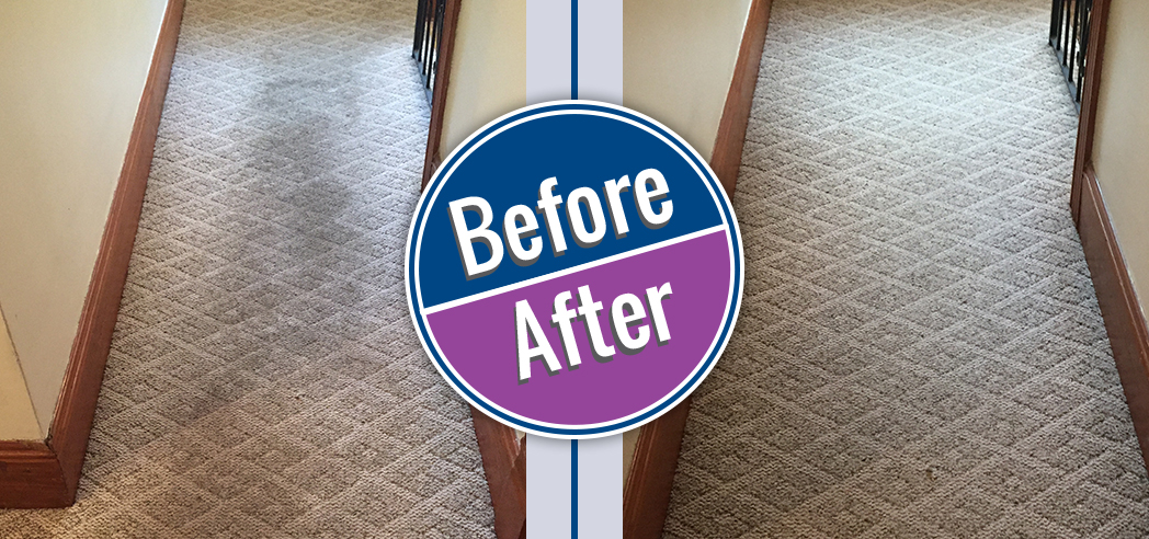 Byrnes Chem Dry Before & After Carpet Cleaning