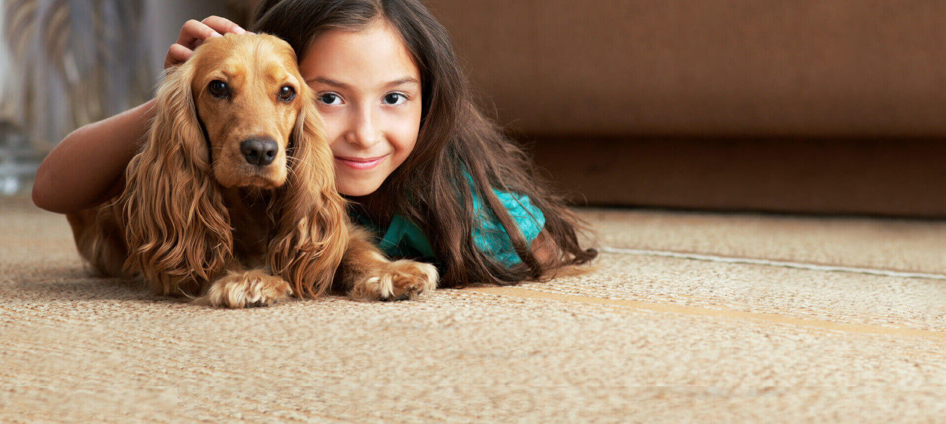 Pet Stain and Odor Removal