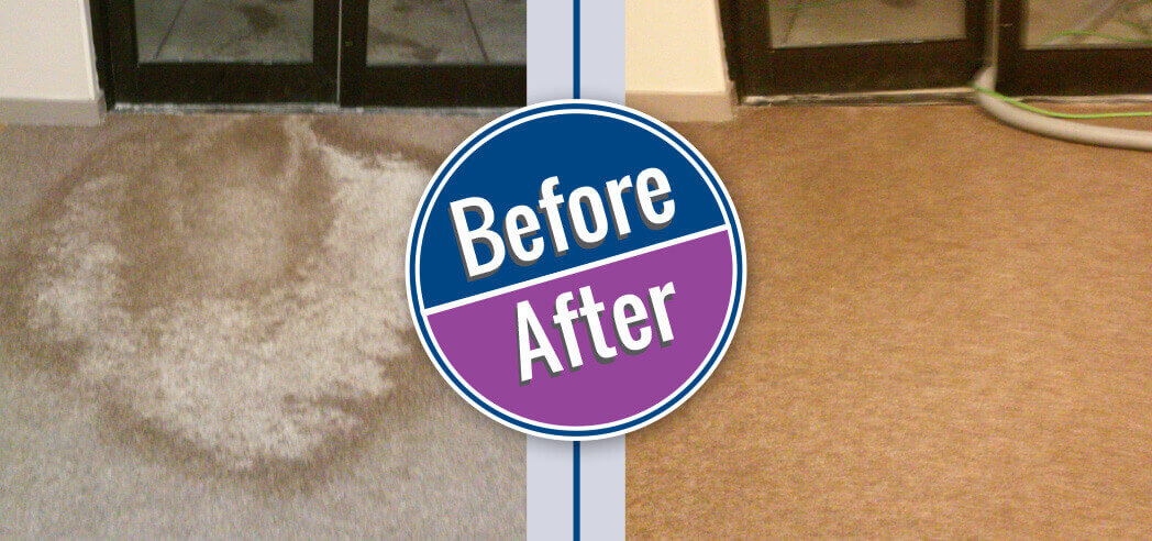 Byrnes Chem Dry Before & After Commercial Carpet Cleaning