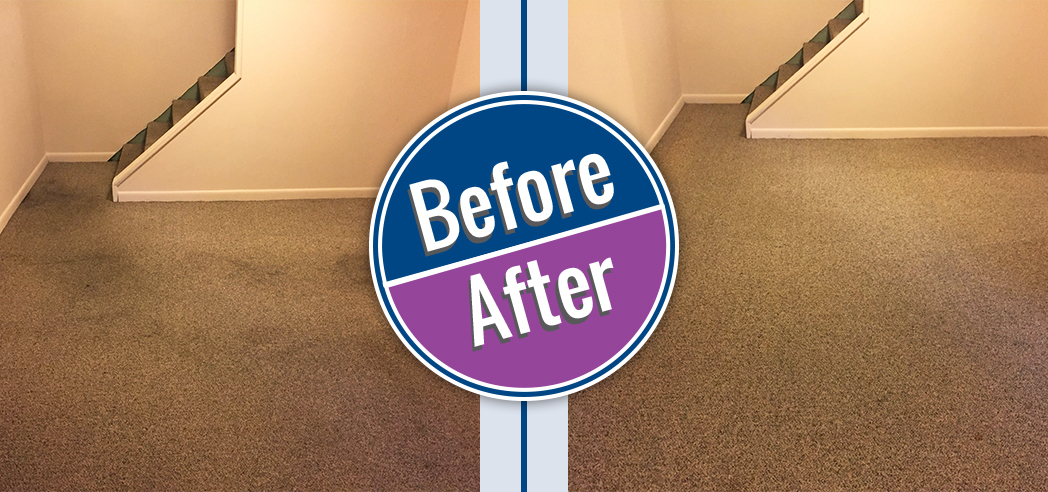Byrnes Chem-Dry Before and After Carpet Cleaning, Spot Cleaning